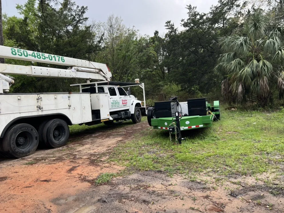 Professional yard cleanup service in Navarre, FL - saffron Lynn young