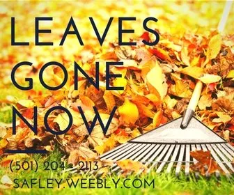 Professional yard maintenance experts serving Hot Springs Village, AR - Safley Prestige Home Services