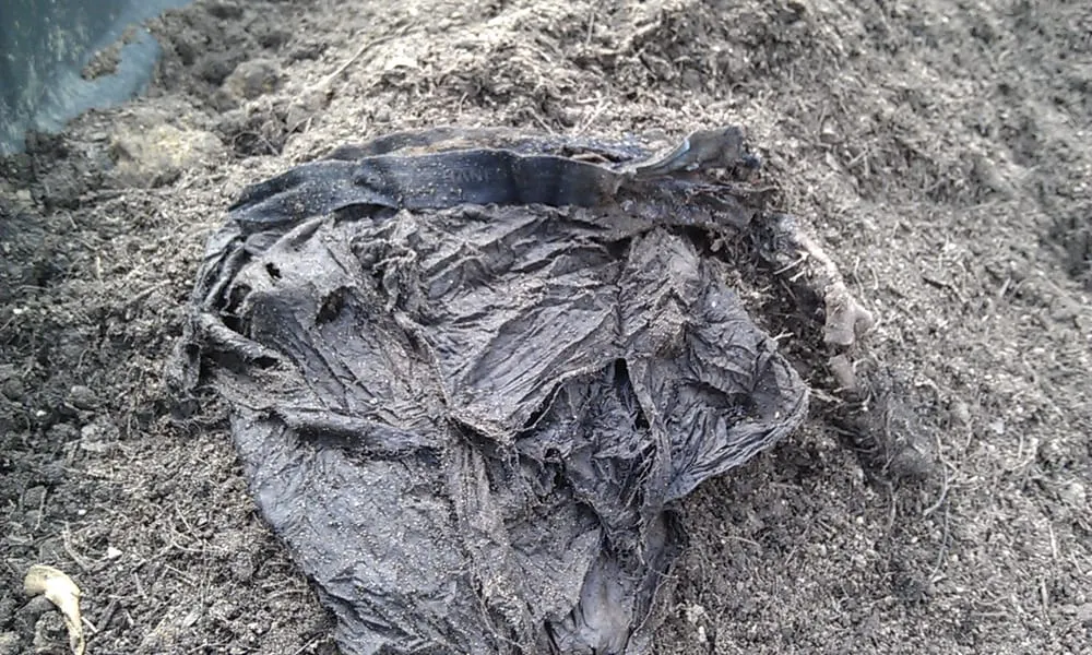 Custom landscape installation experts serving Avon, OH - Sagamore Soils