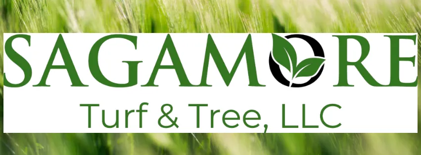 Affordable residential landscaping in Sagamore Beach, MA by Sagamore Turf and Tree