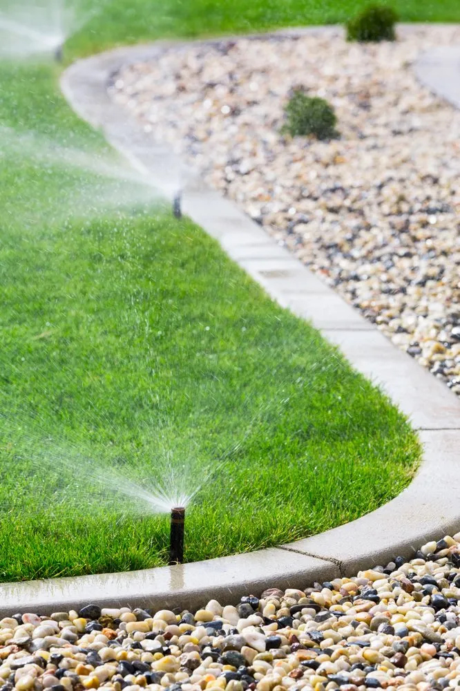 Top-rated lawn care service in Sagamore Beach, MA - Sagamore Turf and Tree