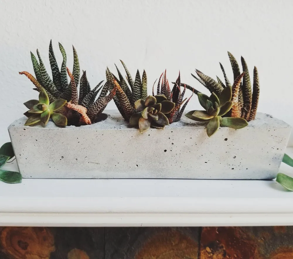 Expert outdoor landscaping with custom design in Davis, CA by Sage + Ivy Design Co