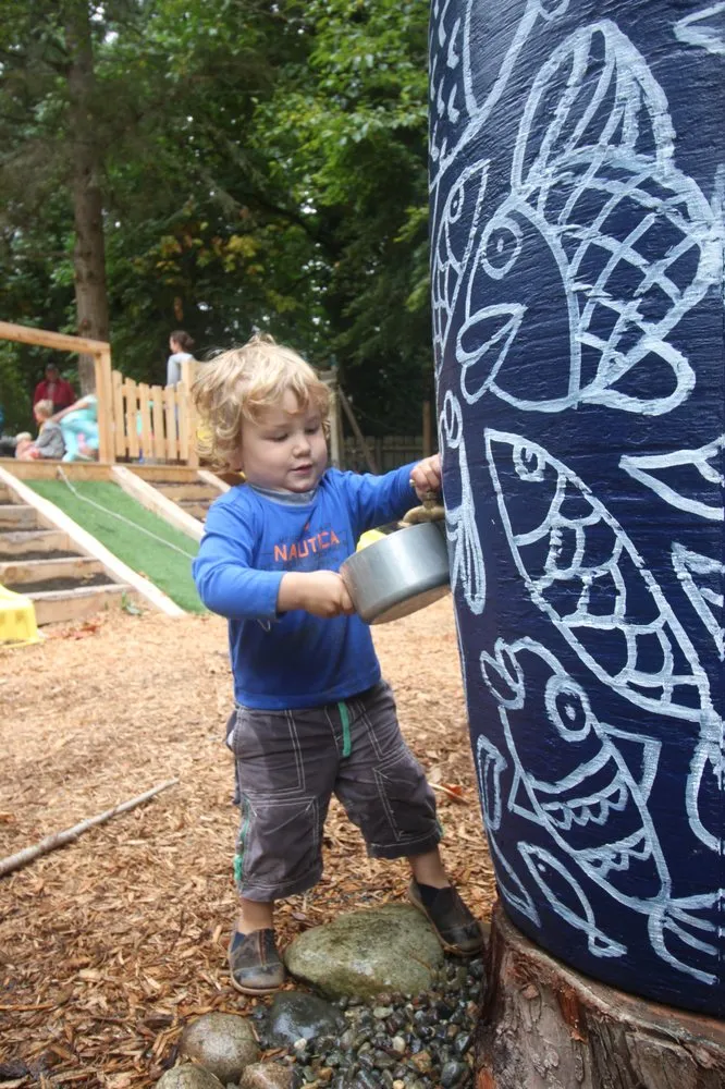 Professional yard cleanup service in Seattle, WA - Sage and Stone