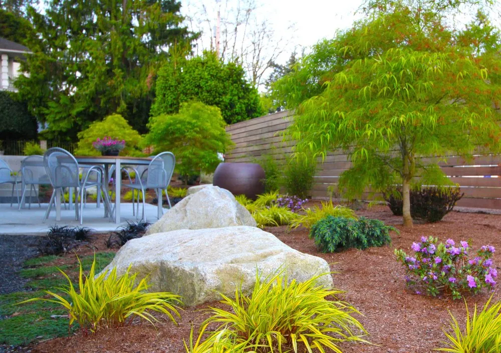 Affordable yard cleanup service in Seattle, WA - Sage and Stone