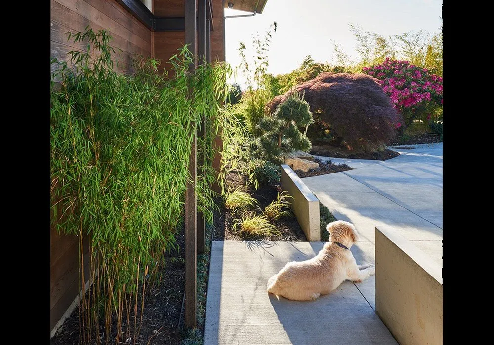 Custom landscaping services in Seattle, WA - Sage and Stone