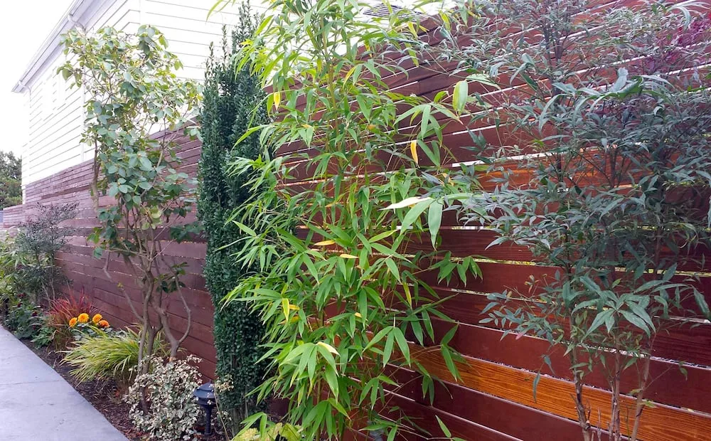 Affordable residential landscaping experts serving Seattle, WA - Sage and Stone