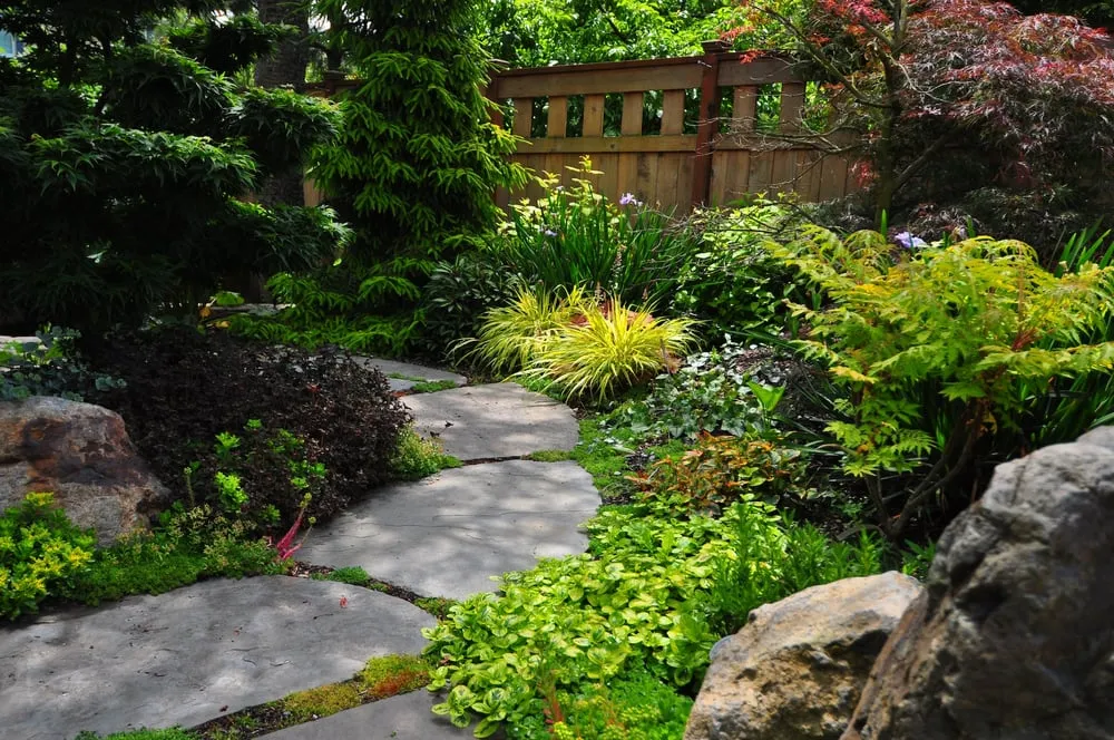 Affordable landscape installation in Seattle, WA by Sage and Stone
