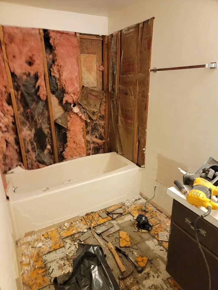 Custom landscape installation experts serving Carbondale, IL - SAGE Construction & Landscaping