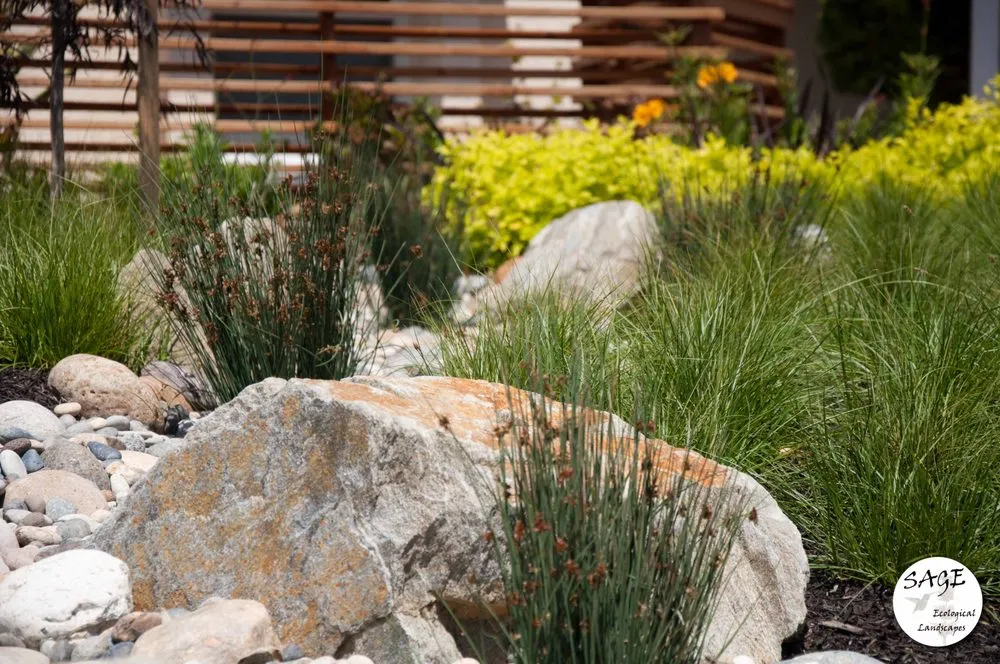 Professional yard cleanup service in Los Osos, CA by Sage Ecological Landscapes