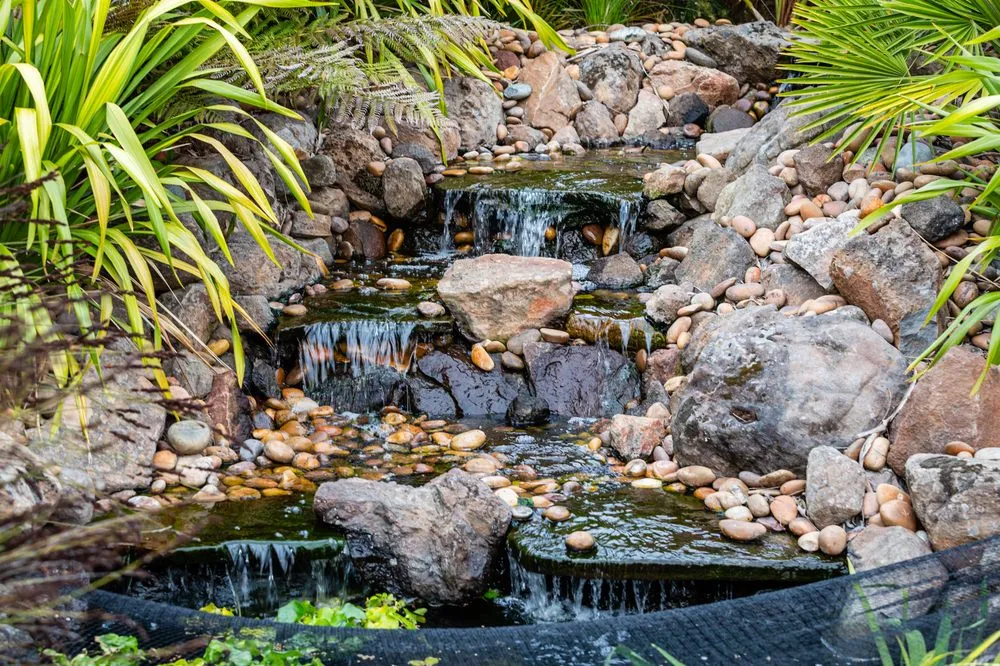 Trusted landscape design for residential properties across Los Osos, CA - Sage Ecological Landscapes