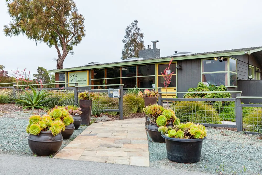 Reliable yard cleanup service in Los Osos, CA by Sage Ecological Landscapes