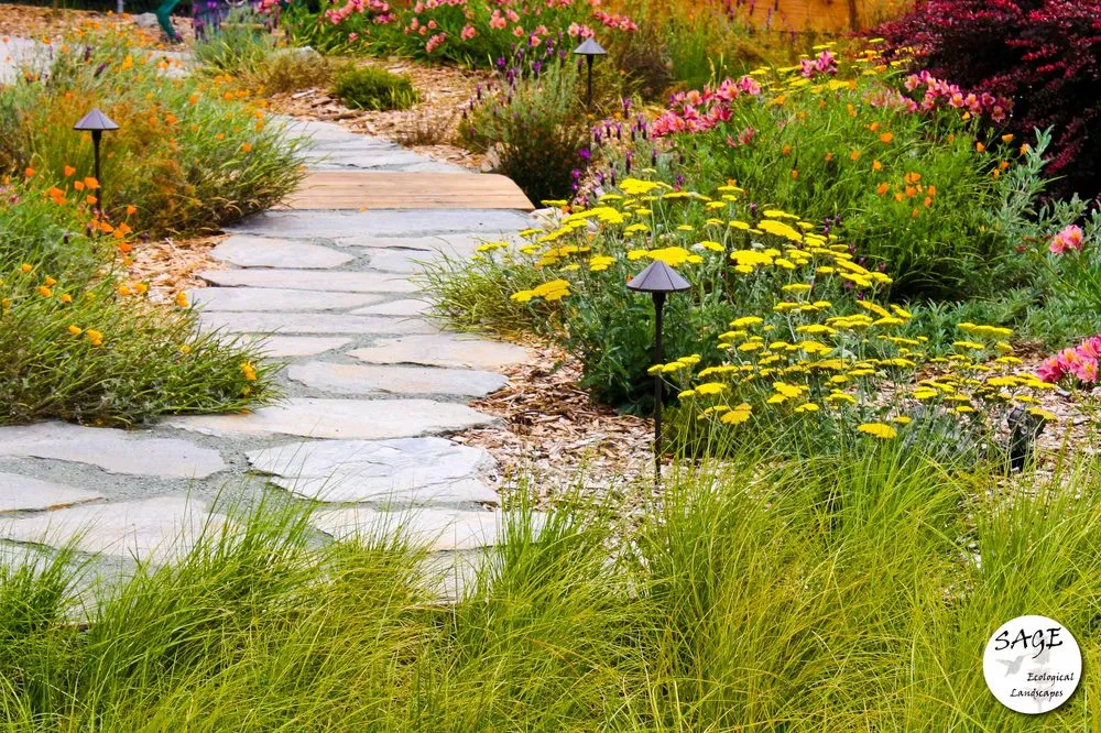 Reliable residential landscaping near you in Los Osos, CA by Sage Ecological Landscapes