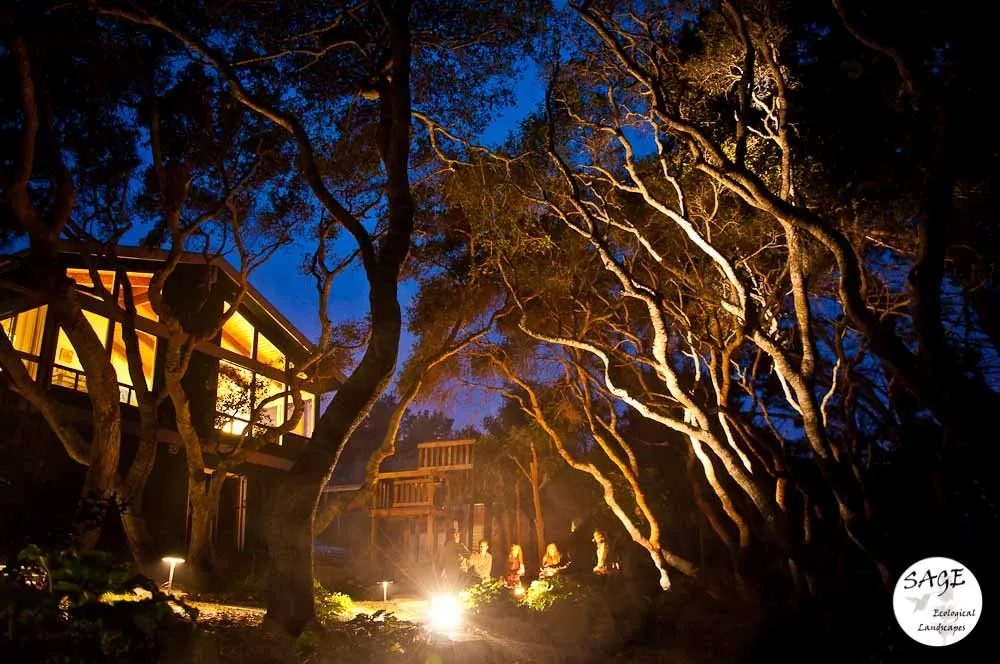 Local yard cleanup service near you in Los Osos, CA by Sage Ecological Landscapes