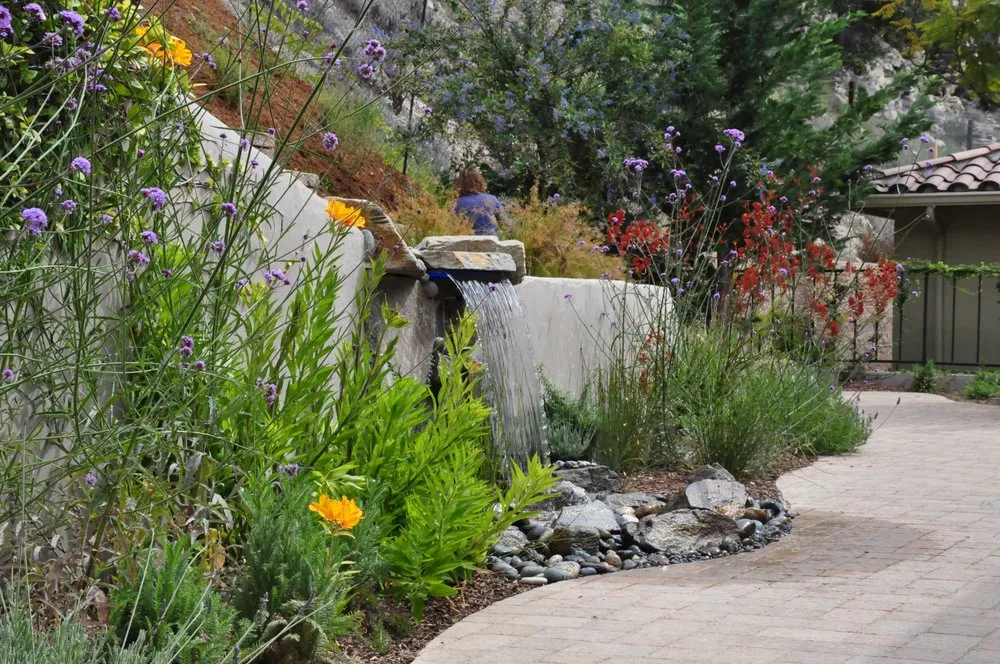 Trusted yard cleanup service in Los Osos, CA by Sage Ecological Landscapes
