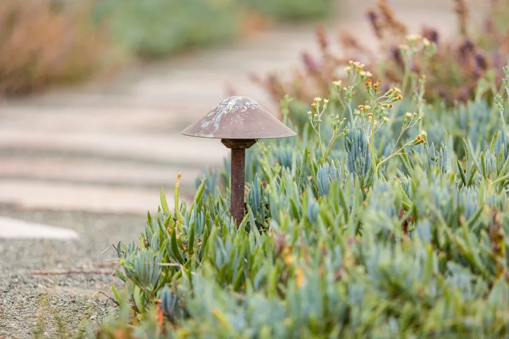 Affordable garden landscaping in Los Osos, CA by Sage Ecological Landscapes