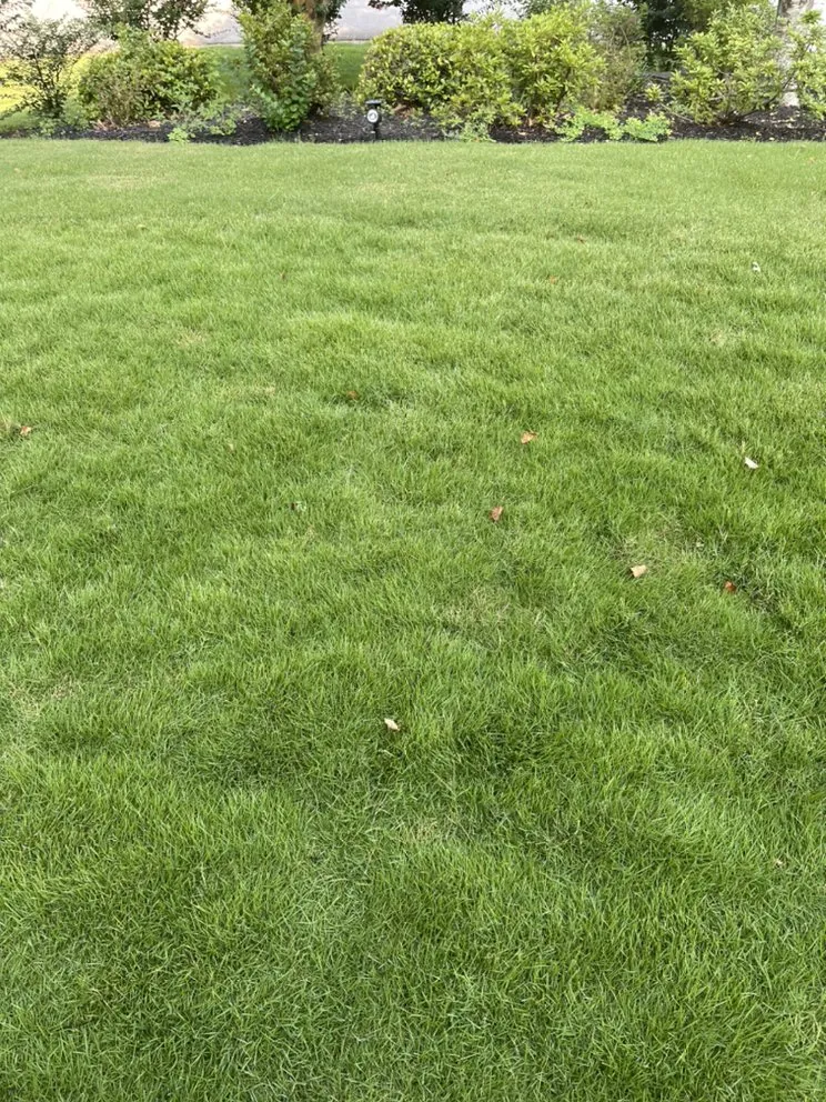 Top-rated landscape design in Lawrenceville, GA - Sage Green Landscaping