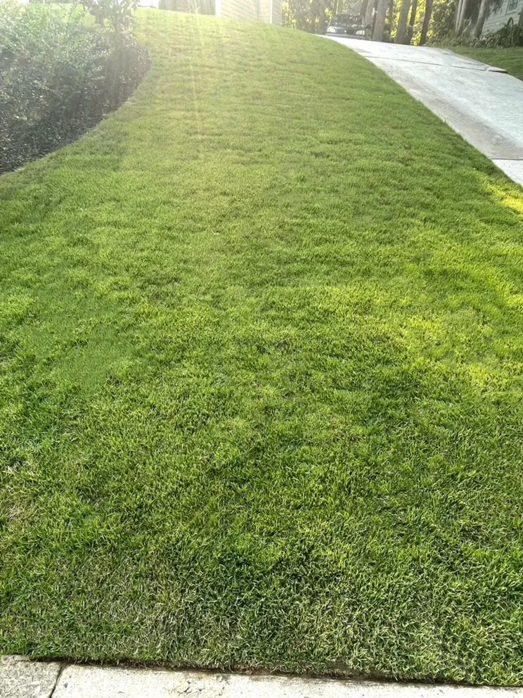 Local landscape installation for residential properties across Lawrenceville, GA - Sage Green Landscaping