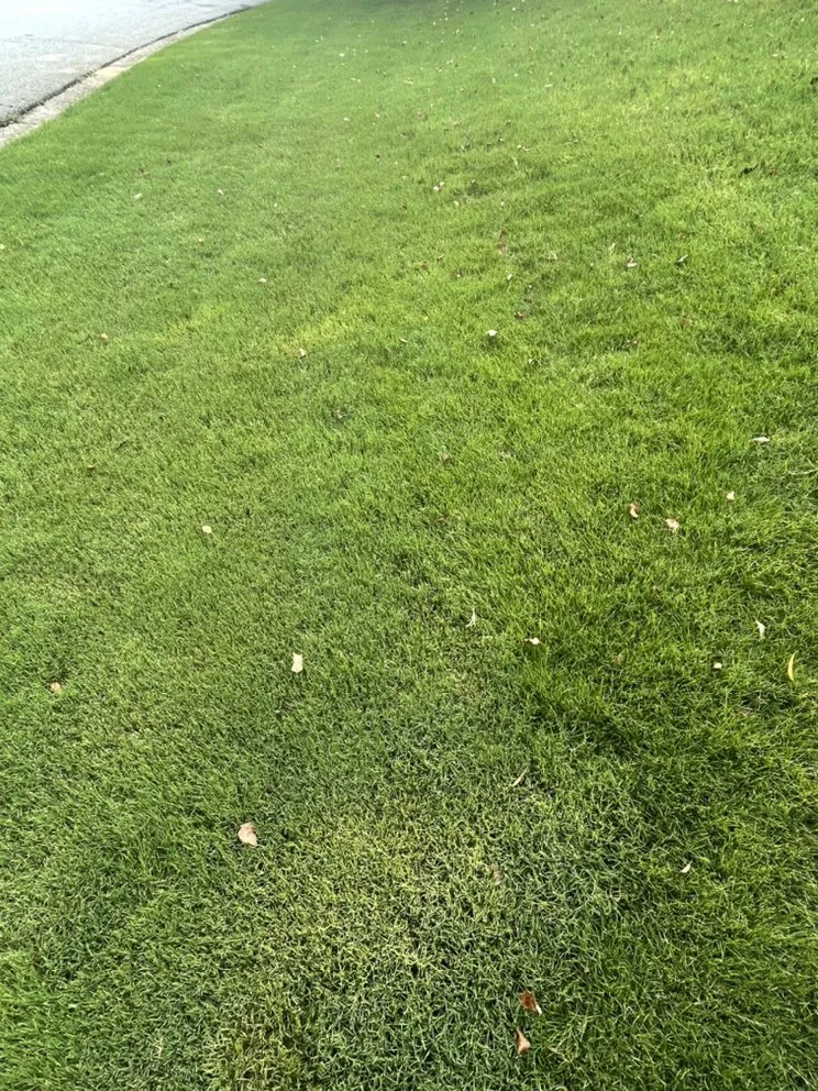 Reliable garden landscaping in Lawrenceville, GA by Sage Green Landscaping