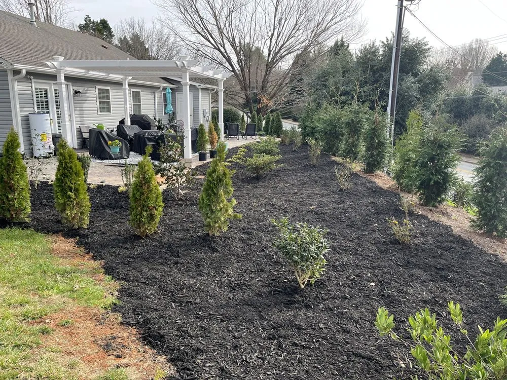 Affordable yard cleanup service for homes in Greensboro, NC by Sage Green Lawn Care