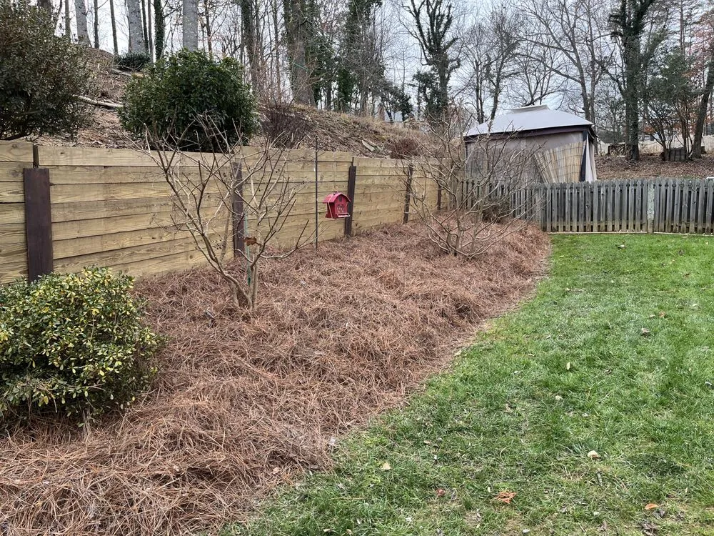 Top-rated landscaping services with custom design in Greensboro, NC by Sage Green Lawn Care