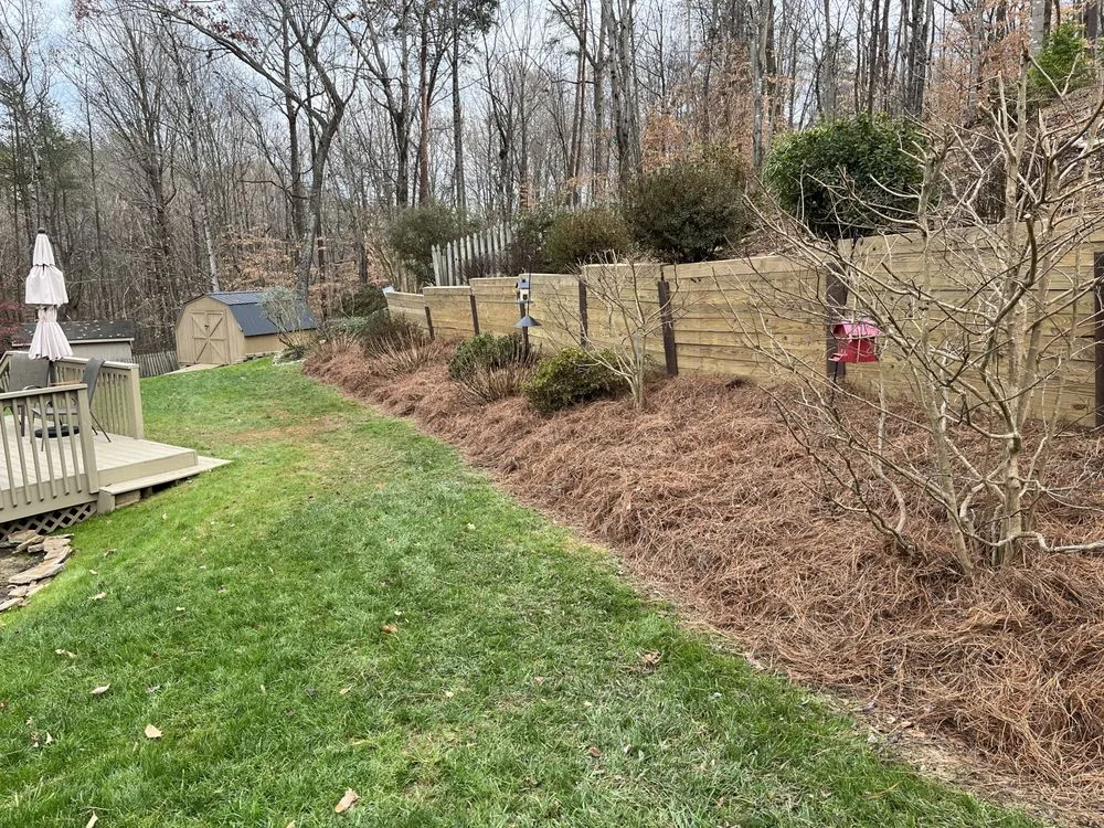 Expert yard cleanup service with custom design in Greensboro, NC by Sage Green Lawn Care