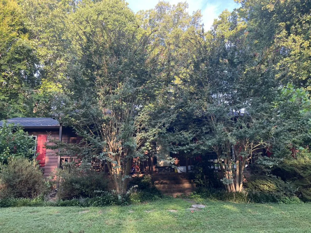 Professional outdoor landscaping with custom design across Greensboro, NC - Sage Green Lawn Care