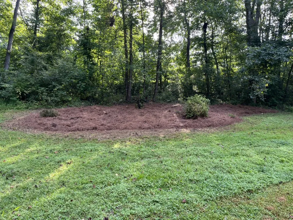 Top-rated lawn care service for beautiful yards across Greensboro, NC - Sage Green Lawn Care