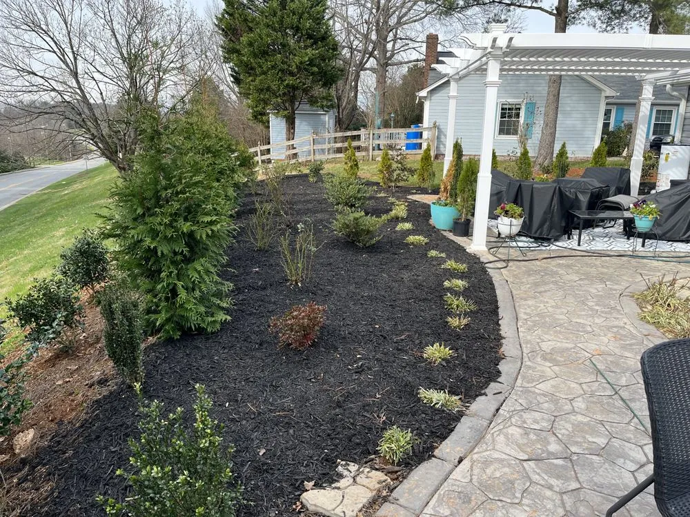 Custom yard cleanup service in Greensboro, NC by Sage Green Lawn Care