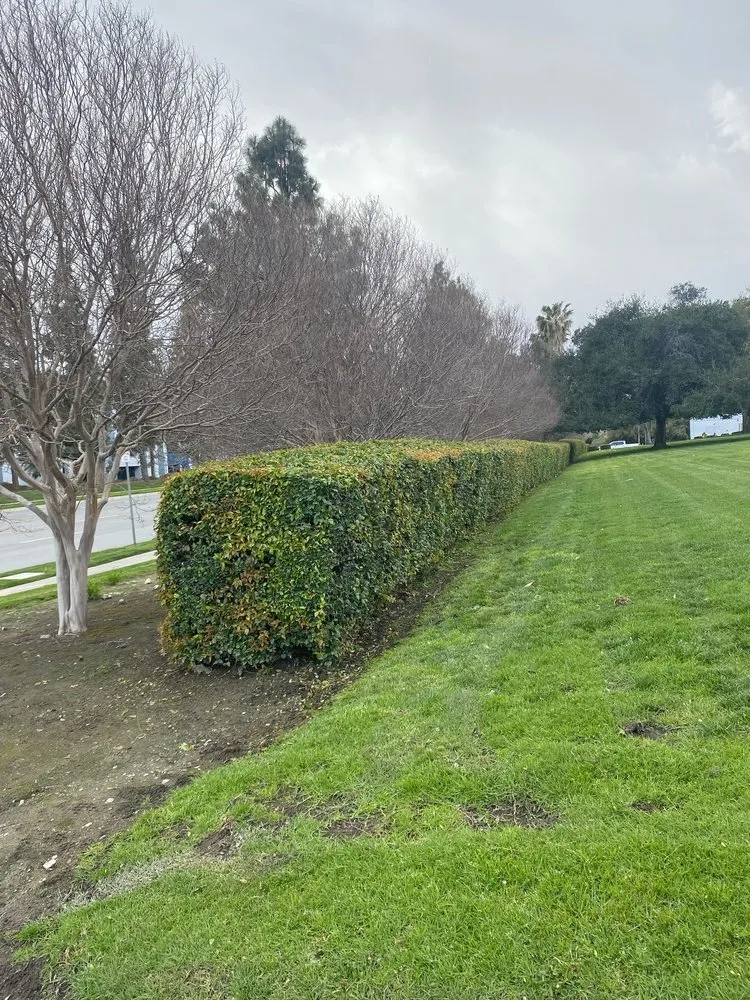 Expert landscaping services for homes across Perris, CA - Sage Landcrafters