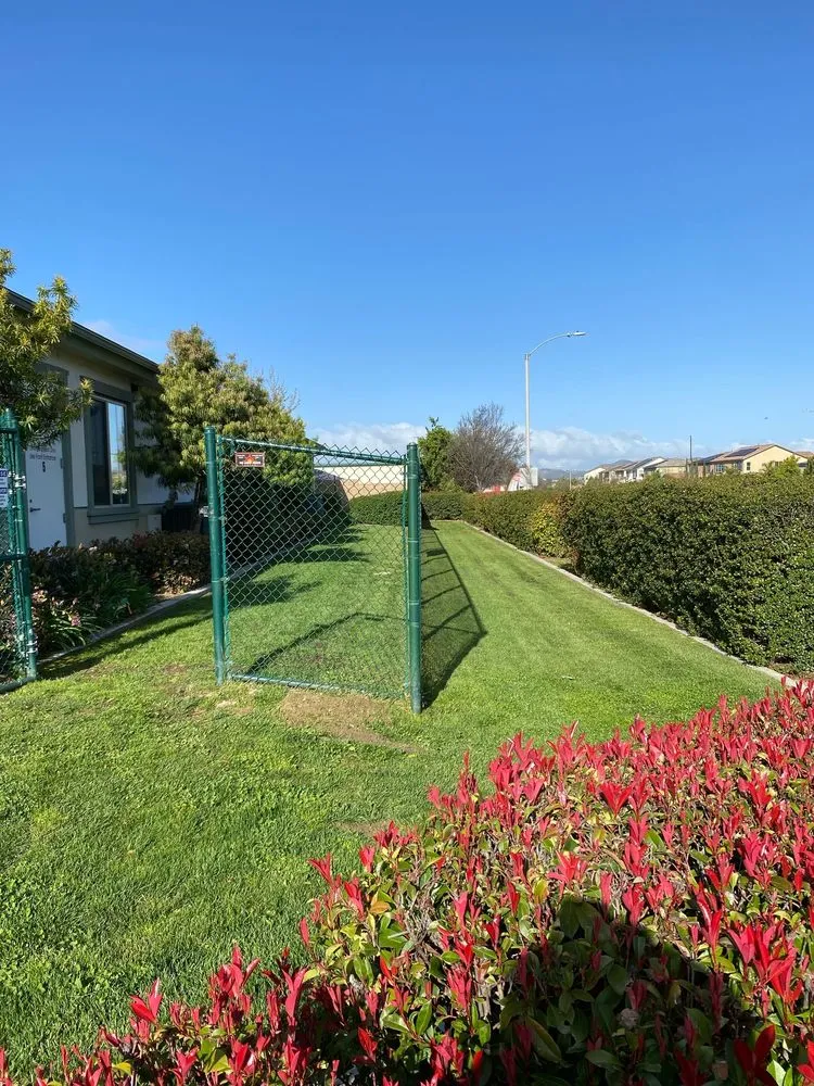 Custom garden landscaping for year-round maintenance across Perris, CA - Sage Landcrafters