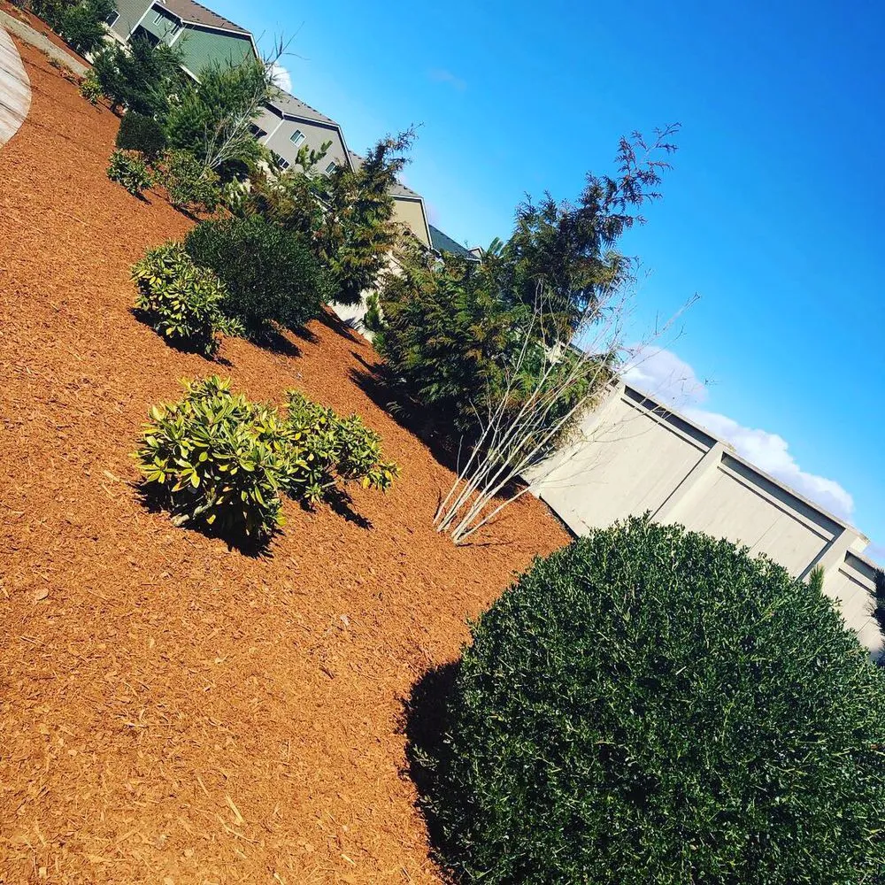 Local outdoor landscaping in Olympia, WA by Sage Landscape Maintenance