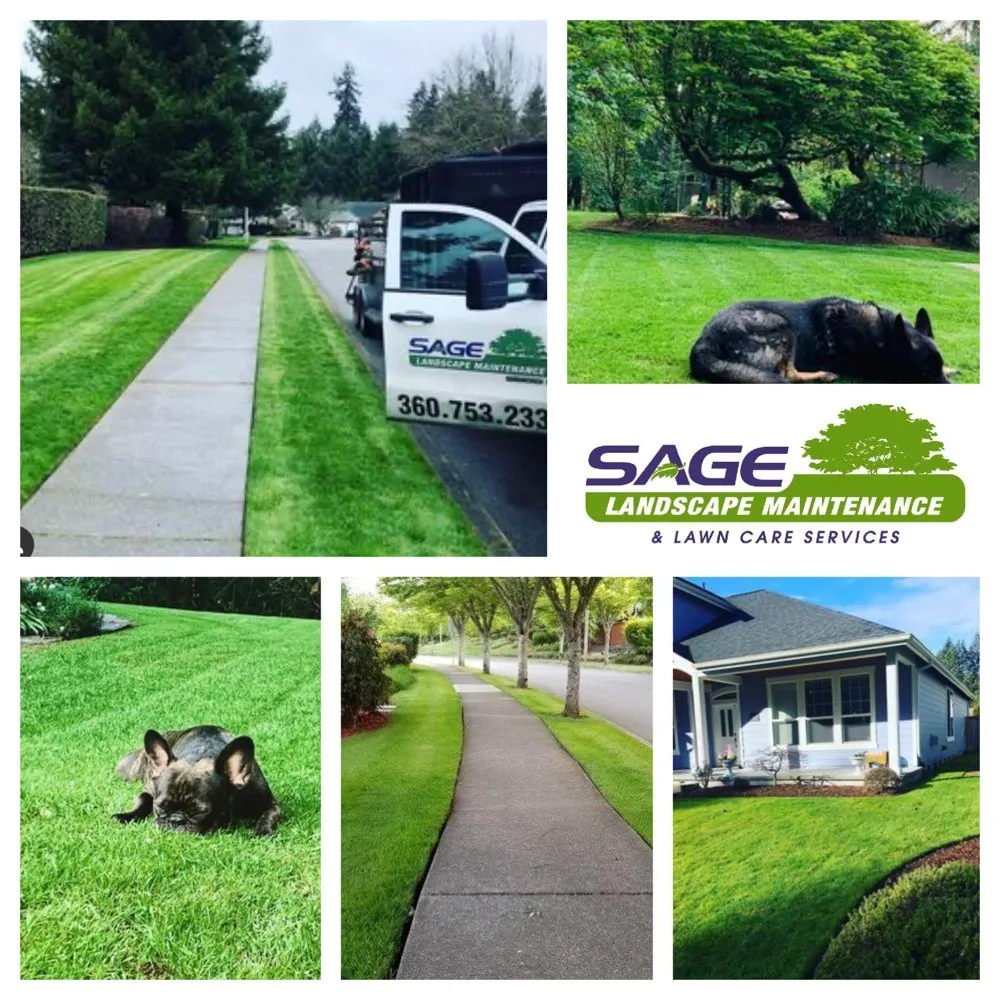 Trusted landscape design for homes across Olympia, WA - Sage Landscape Maintenance