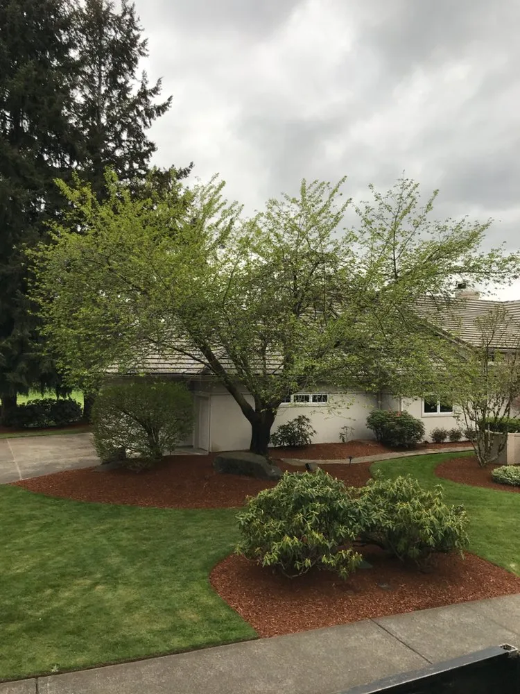 Reliable garden landscaping for residential properties across Olympia, WA - Sage Landscape Maintenance