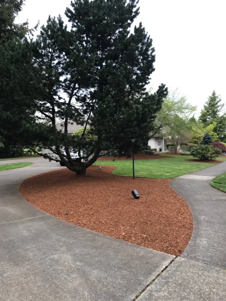 Local garden landscaping for year-round maintenance in Olympia, WA by Sage Landscape Maintenance