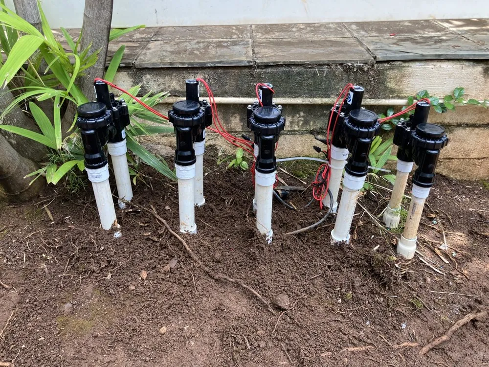 Expert yard maintenance in Waianae, HI - Sage Landscaping