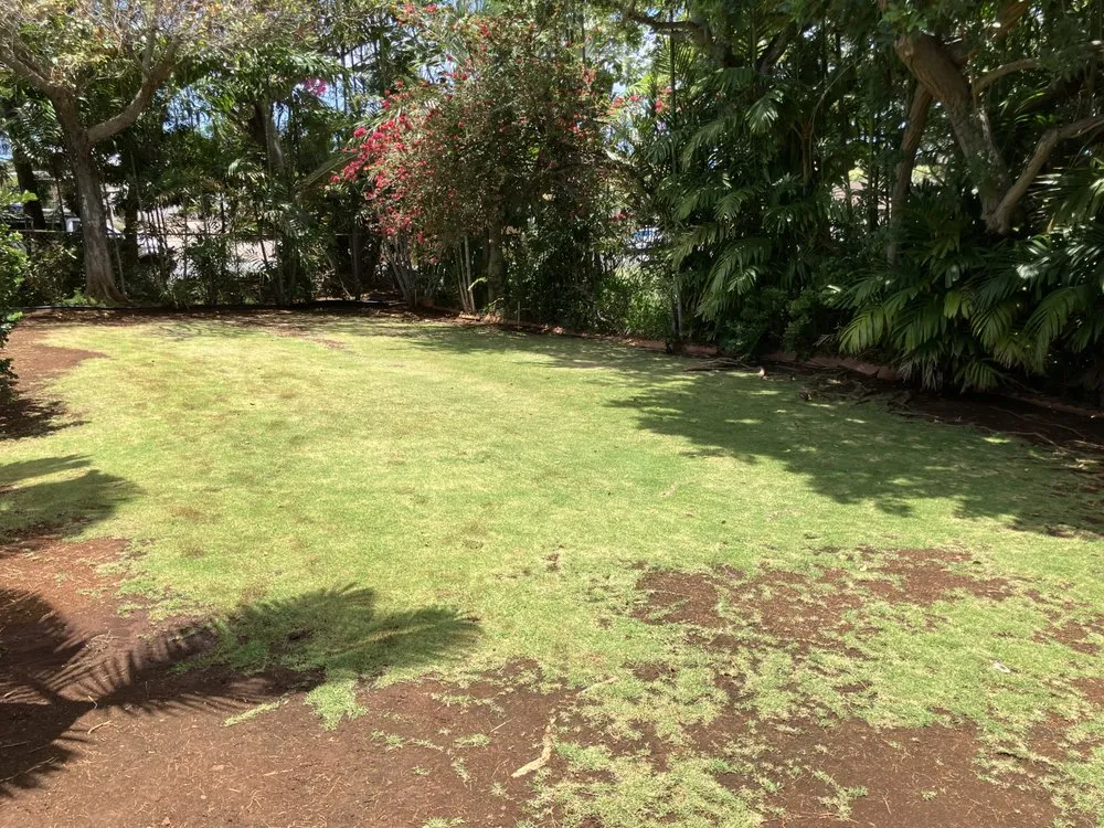 Custom yard cleanup service experts serving Waianae, HI - Sage Landscaping