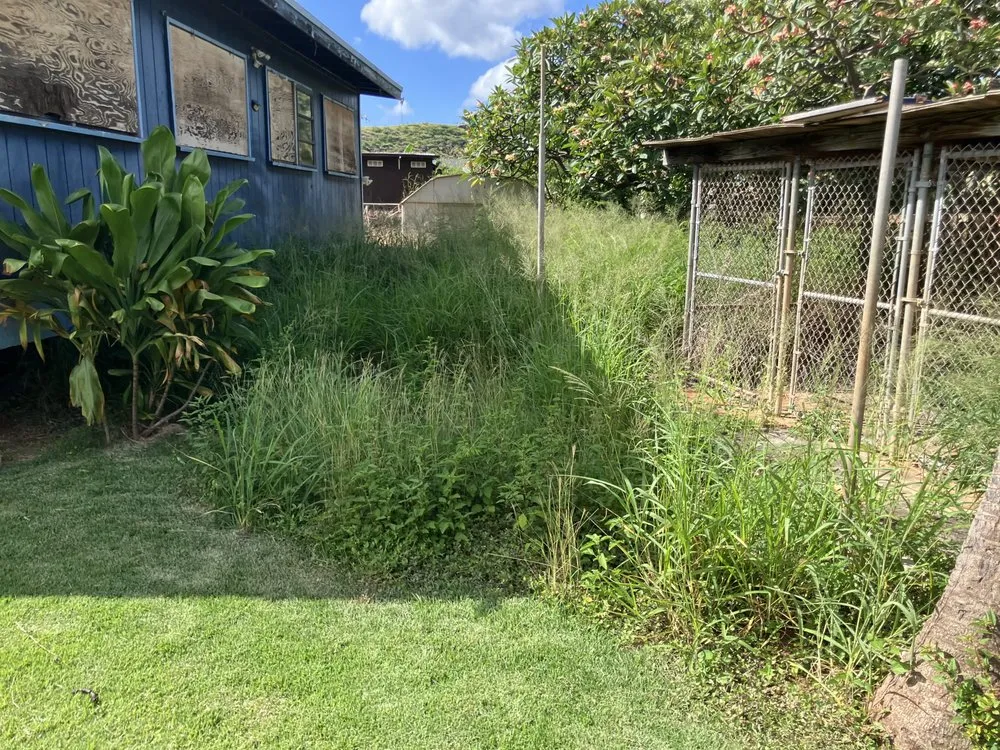 Trusted yard maintenance in Waianae, HI by Sage Landscaping