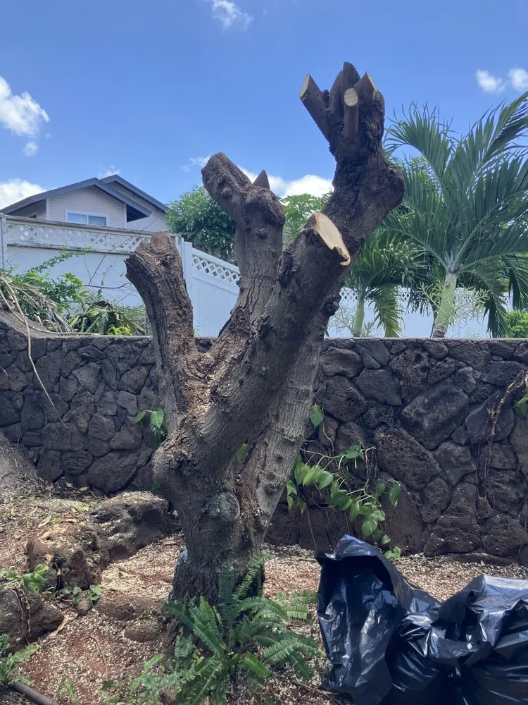 Top-rated lawn mowing service in Waianae, HI - Sage Landscaping