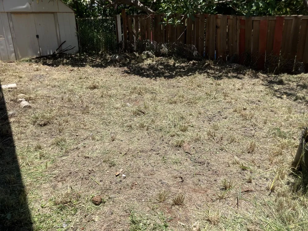 Reliable lawn mowing service with custom design in Waianae, HI by Sage Landscaping