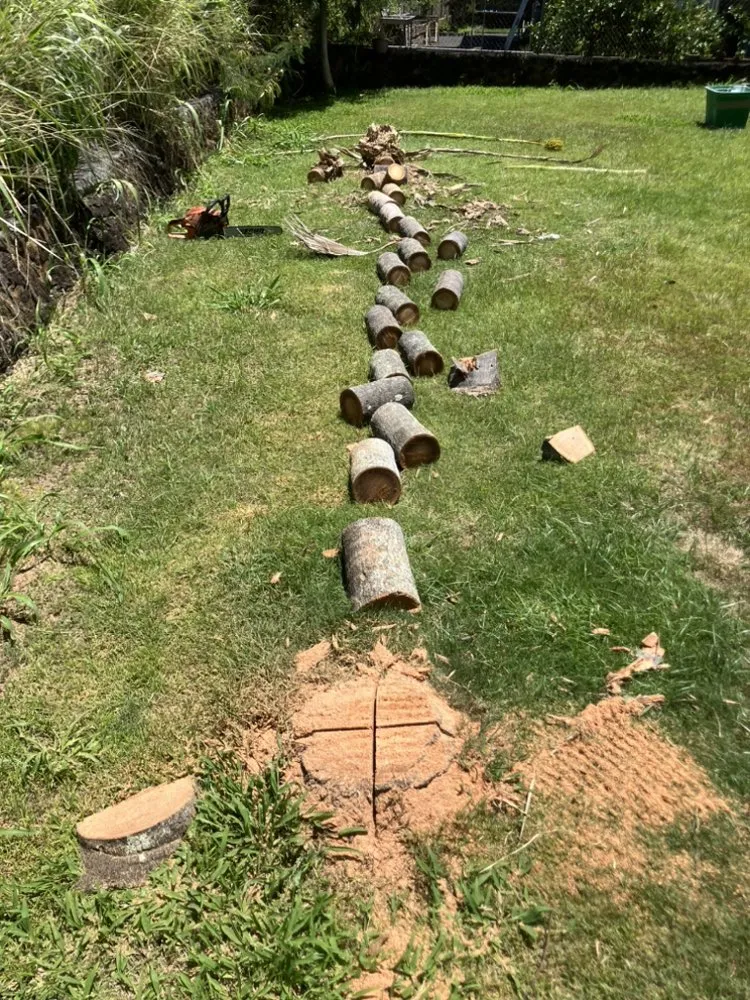 Top-rated lawn care service for homes in Waianae, HI by Sage Landscaping