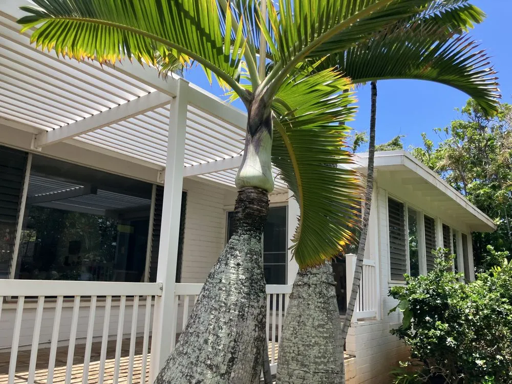 Trusted landscaping services experts serving Waianae, HI - Sage Landscaping