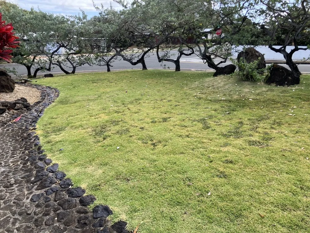 Professional landscape design experts serving Waianae, HI - Sage Landscaping