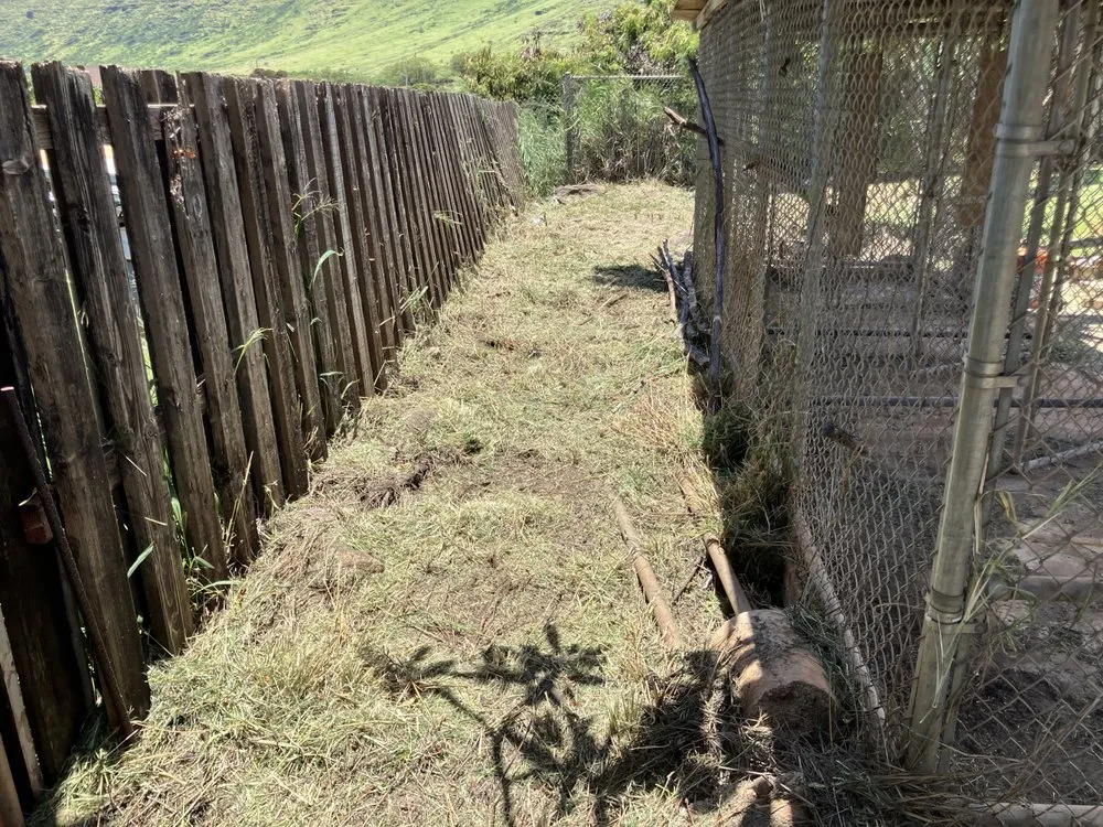 Expert yard maintenance for year-round maintenance in Waianae, HI by Sage Landscaping