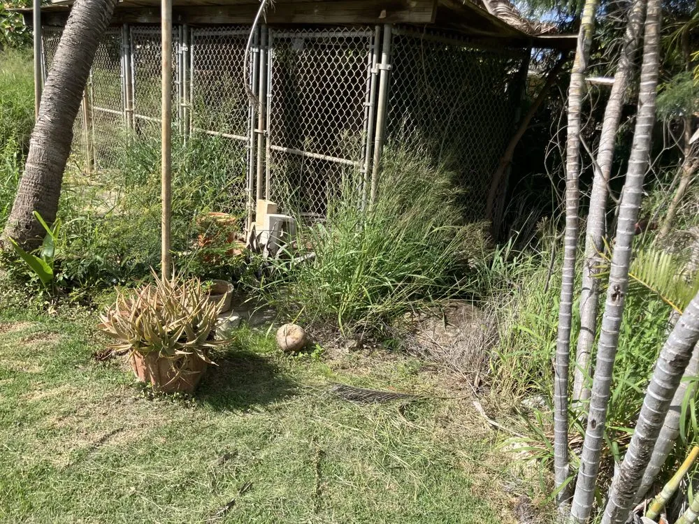 Trusted garden landscaping near you in Waianae, HI by Sage Landscaping