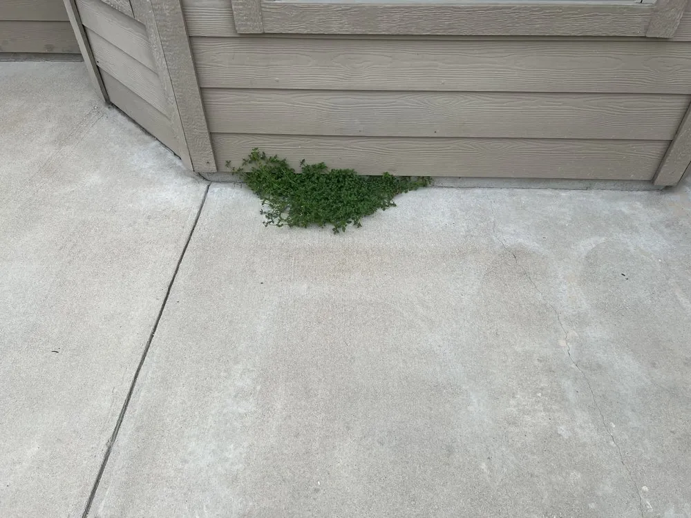 Affordable yard cleanup service experts serving Leander, TX - Sage Outdoor Services