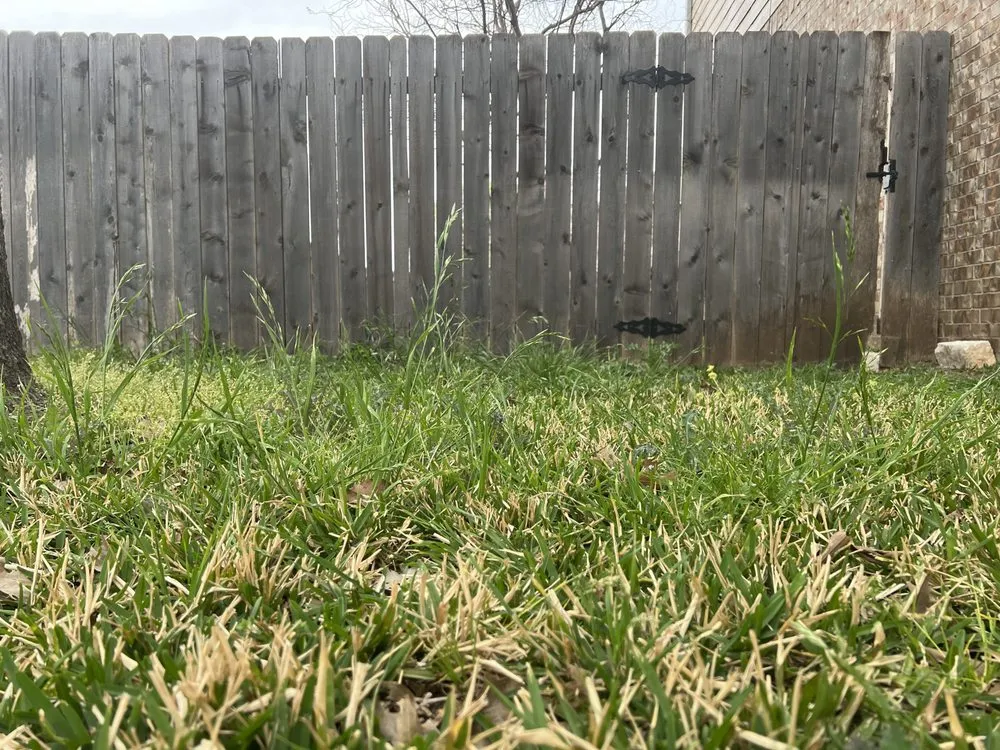 Trusted lawn care service experts serving Leander, TX - Sage Outdoor Services