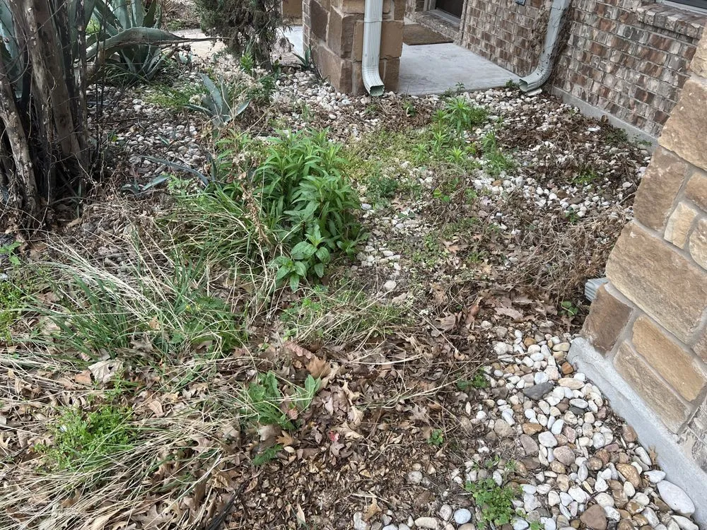 Reliable landscape installation for outdoor upgrades in Leander, TX by Sage Outdoor Services