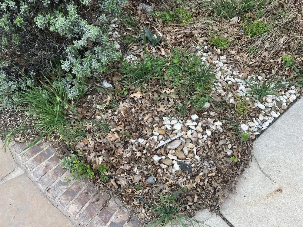 Expert outdoor landscaping experts serving Leander, TX - Sage Outdoor Services