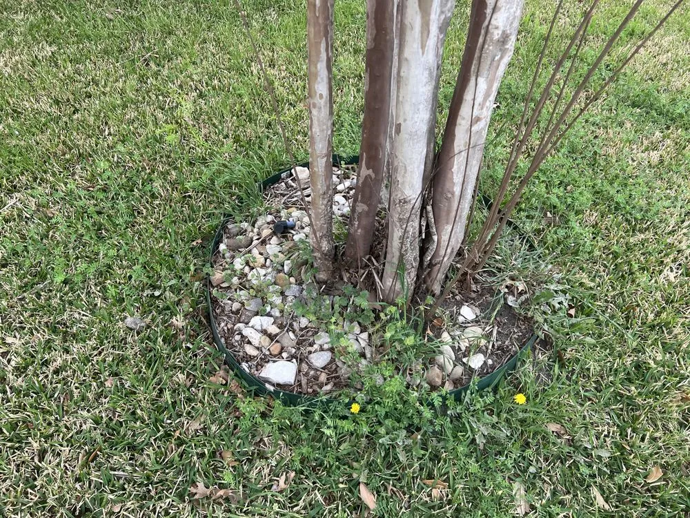 Local landscaping services in Leander, TX - Sage Outdoor Services