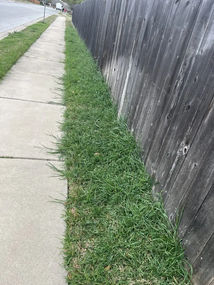 Expert landscaping services in Leander, TX by Sage Outdoor Services